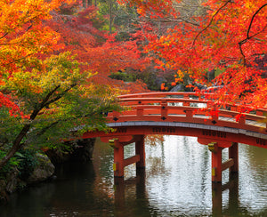 Experience Autumn in Japan at Home